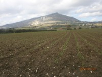 /album/i-luoghi-di-coltivazione-nubia/p1270178-jpg/